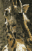 Object